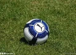 直布羅陀對,法國,歐預賽,新葡京,新葡京app,新葡京娱乐,新普京赌场